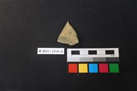 藏品(陶片)的圖片