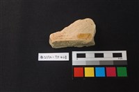 藏品(陶片)的圖片