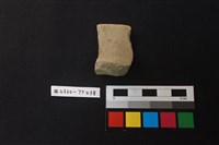 藏品(陶片)的圖片