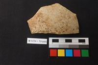 藏品(陶片)的圖片