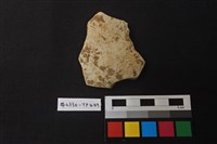 藏品(陶片)的圖片