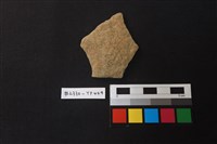 藏品(陶片)的圖片