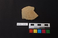 藏品(陶片)的圖片