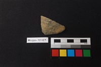 藏品(陶片)的圖片