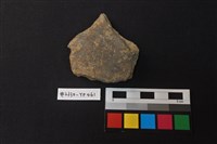 藏品(陶片)的圖片