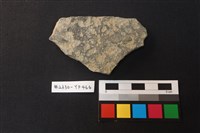 藏品(陶片)的圖片