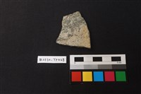 藏品(陶片)的圖片