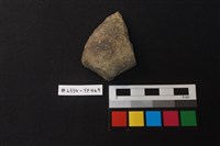 藏品(陶片)的圖片