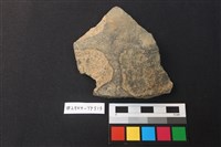 藏品(陶片)的圖片