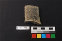 藏品(陶片)的圖片