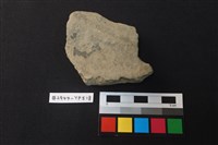 藏品(陶片)的圖片