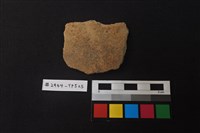 藏品(陶片)的圖片