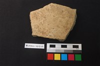 藏品(陶片)的圖片