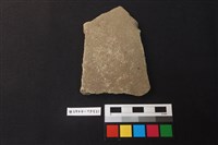 藏品(陶片)的圖片