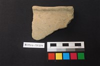 藏品(陶片)的圖片