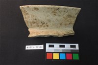 藏品(陶片)的圖片