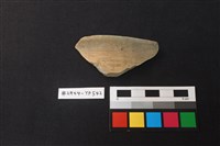 藏品(陶片)的圖片