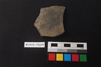 藏品(陶片)的圖片