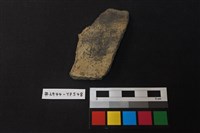 藏品(陶片)的圖片