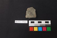 藏品(陶片)的圖片