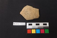 藏品(陶片)的圖片