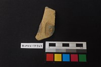 藏品(陶片)的圖片