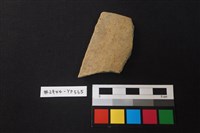 藏品(陶片)的圖片