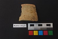 藏品(陶片)的圖片