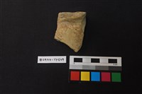 藏品(陶片)的圖片