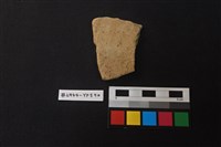 藏品(陶片)的圖片