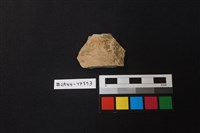 藏品(陶片)的圖片