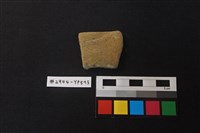 藏品(陶片)的圖片