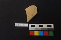 藏品(陶片)的圖片