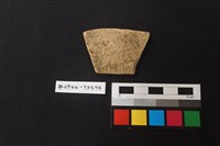 藏品(陶片)的圖片