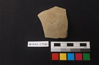 藏品(陶片)的圖片