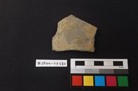 藏品(陶片)的圖片