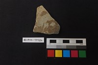 藏品(陶片)的圖片