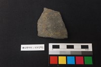 藏品(陶片)的圖片