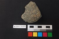 藏品(陶片)的圖片