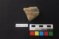 藏品(陶片)的圖片