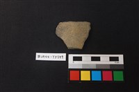 藏品(陶片)的圖片