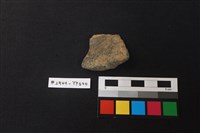 藏品(陶片)的圖片