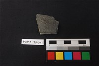 藏品(陶片)的圖片