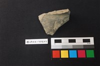 藏品(陶片)的圖片