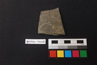 藏品(陶片)的圖片