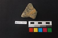 藏品(陶片)的圖片