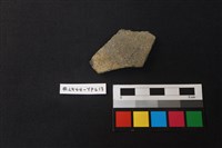 藏品(陶片)的圖片