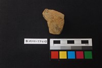 藏品(陶片)的圖片