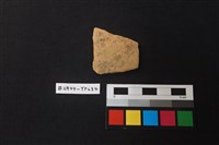 藏品(陶片)的圖片