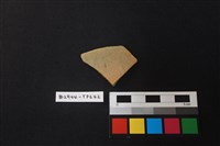 藏品(陶片)的圖片